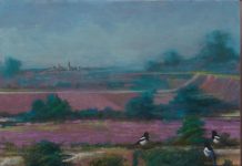 2017 liggnede man in landschap met ekster